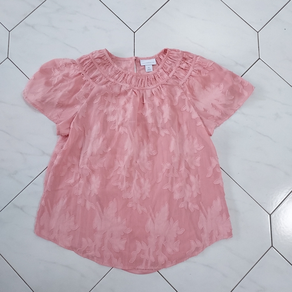 Liz Claiborne Pink Chiffon Top Size SP